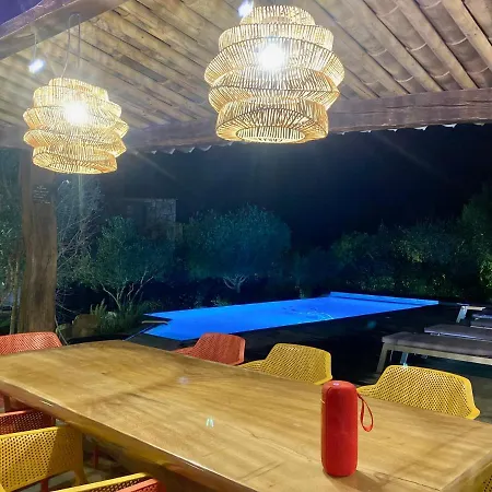 Concadoro 维琪奥港