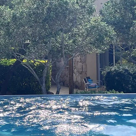 Concadoro