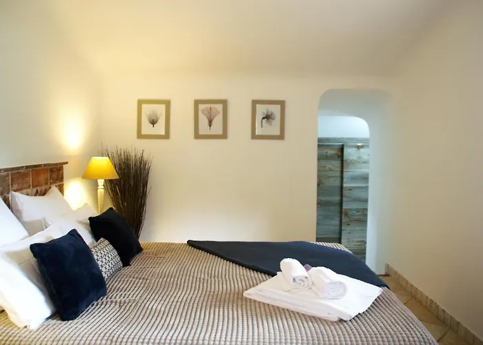 Concadoro * 维琪奥港